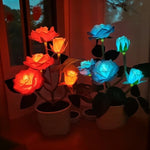 Rose Solar Light