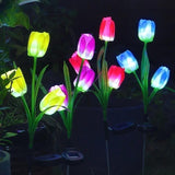 Tulip Solar Stake Lights