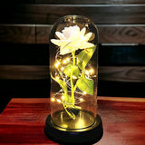 Eternal Rose Lamp