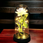 Rose Dome Light